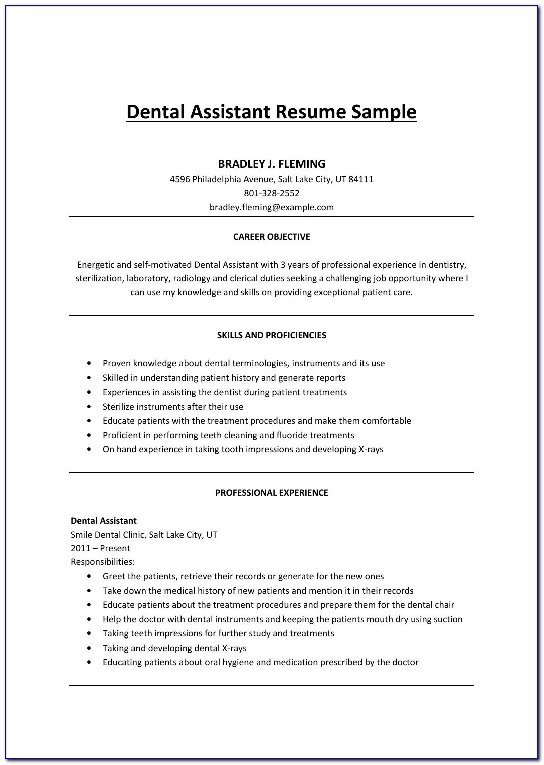 Samples Of Resume In Word Format