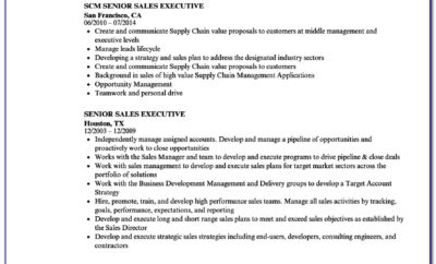 Senior Sales Executive Resume Examples