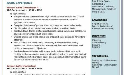 Senior Sales Manager Resume Examples