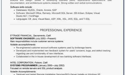 Software Developer Resume Professional Summary