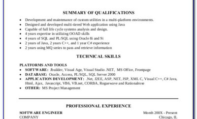 Software Testing Professional Resume