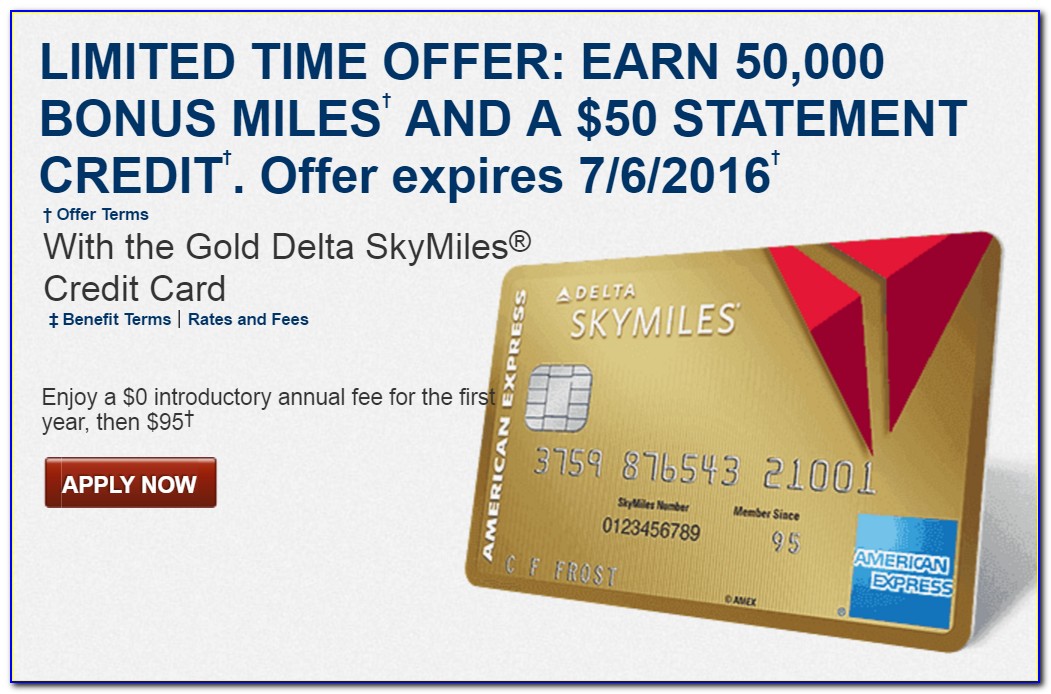 American Express Delta Gold Card Free Bag