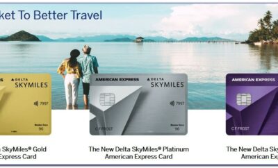 Delta Gold Card First Bag Free