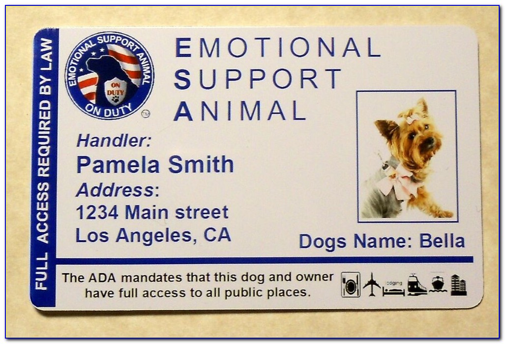 Free Emotional Support Animal Id Card Cat