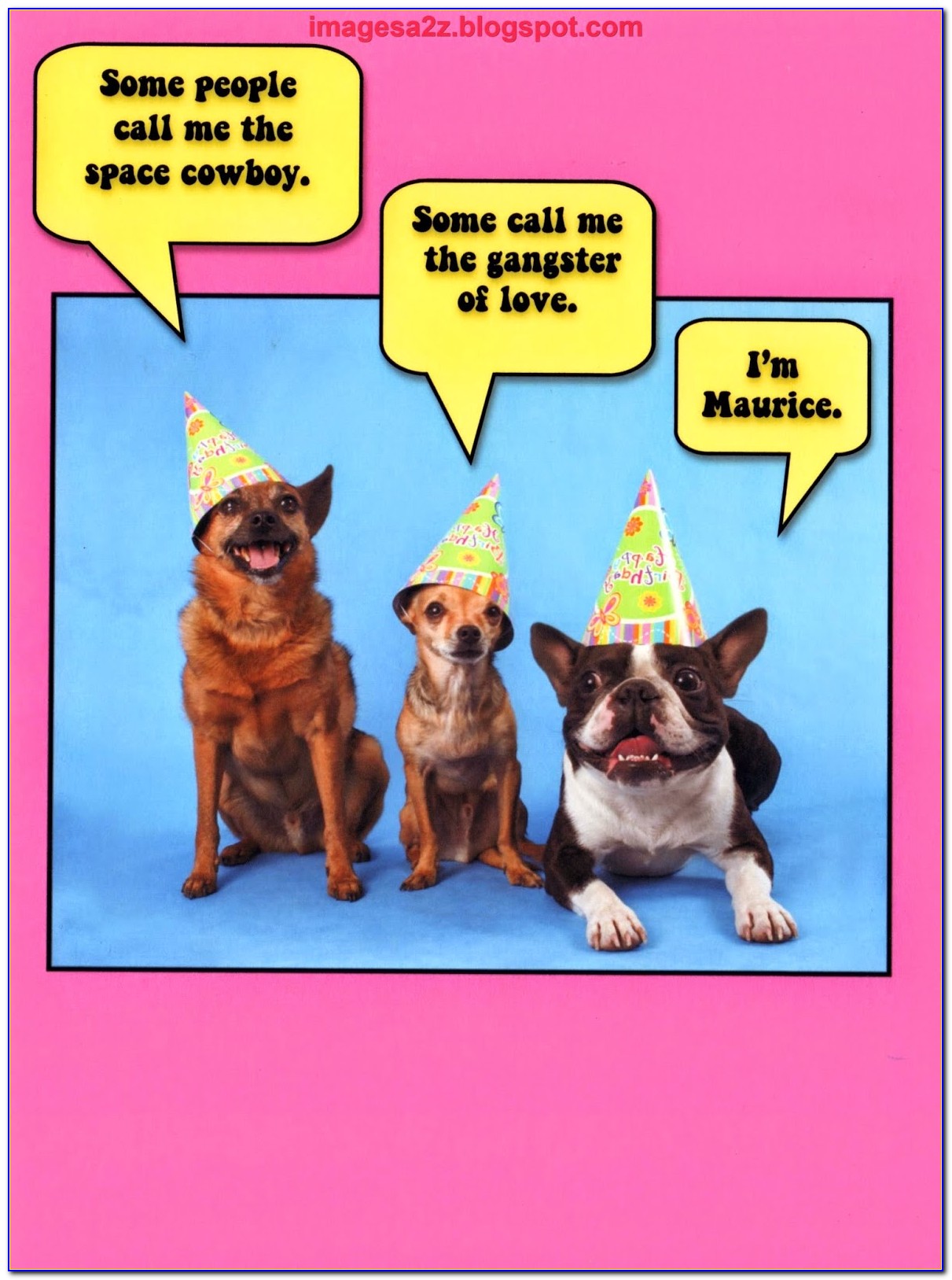 Free Online Funny Birthday Ecards