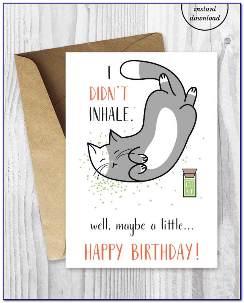 Funniest Cat Birthday Cards