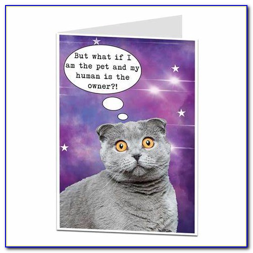 Funny Cat Cards Free
