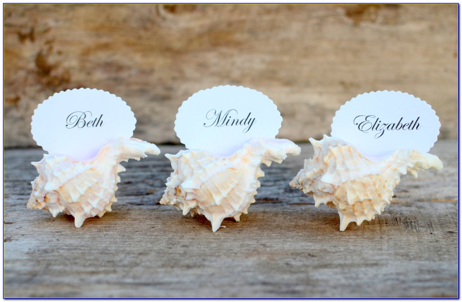 Beach Themed Wedding Place Card Holders