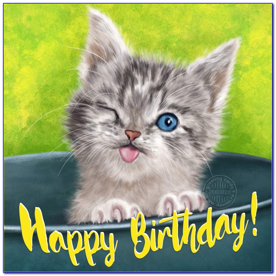 Cute Cat Birthday Card Ideas