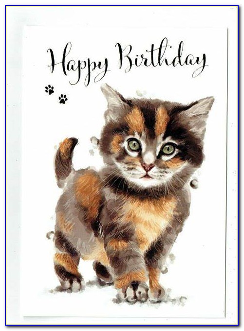 Cute Cat Birthday Cards
