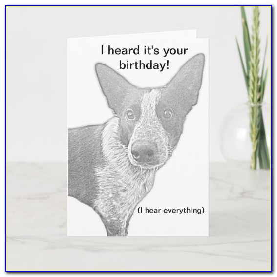 Dog Birthday Cards Funny