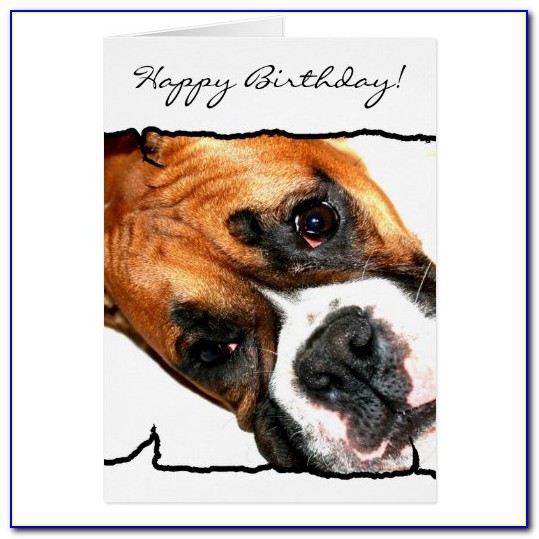 Funny Boxer Dog Birthday Cards