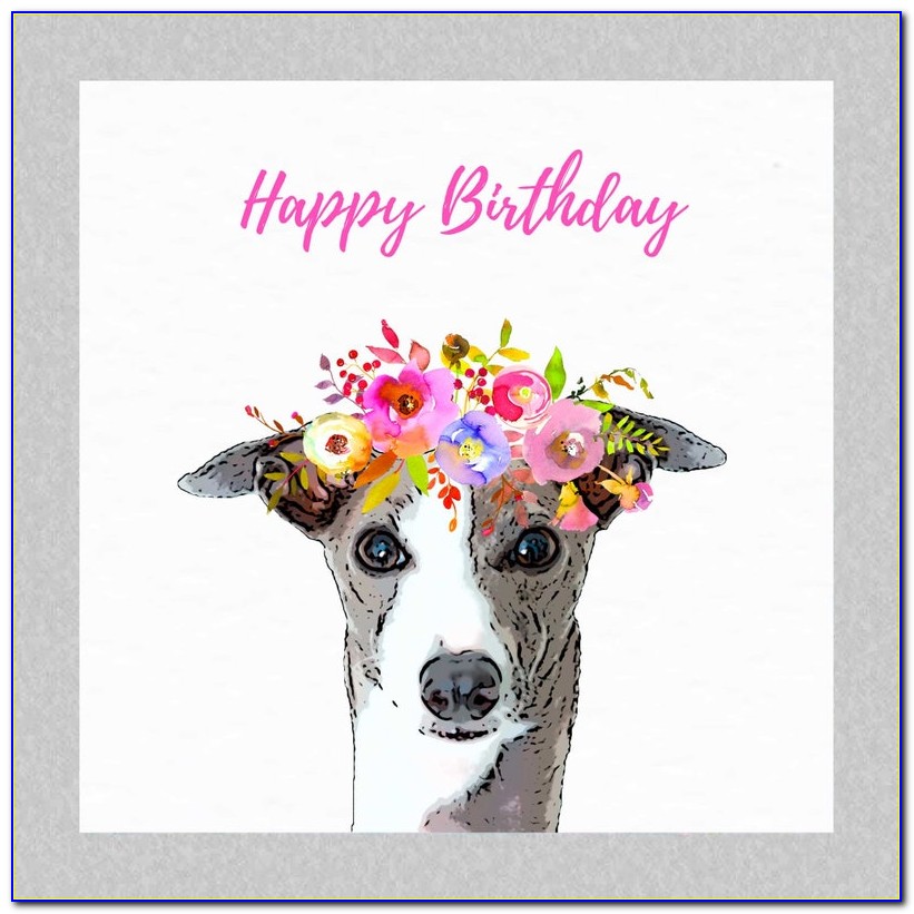 Funny Greyhound Birthday Cards