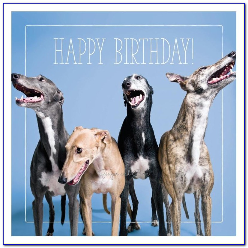 Greyhound Birthday Cards Uk