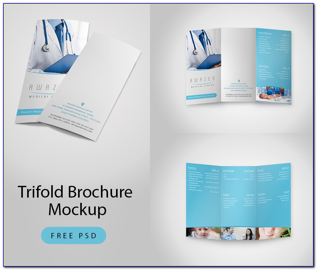 Tri Fold Brochure Mockup Psd Free