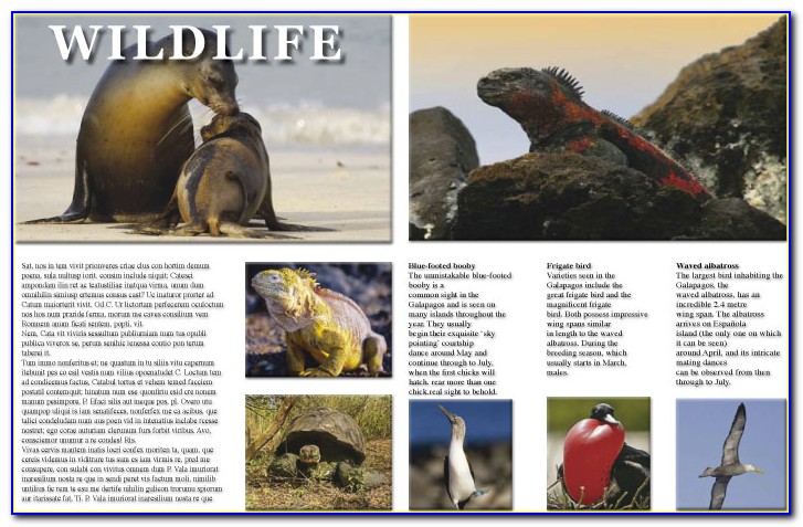 Audley Travel Brochures Galapagos Islands