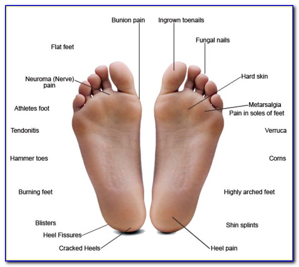 Bottom Of Right Foot Diagram