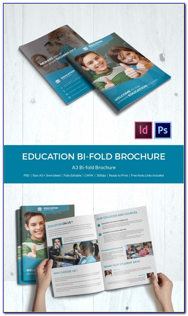 Education Tri Fold Brochure Templates