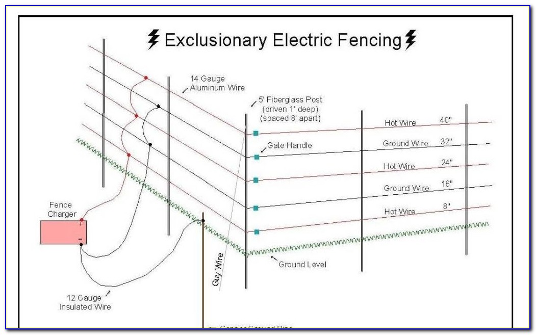 Invisible Fence Brand Wiring Diagram