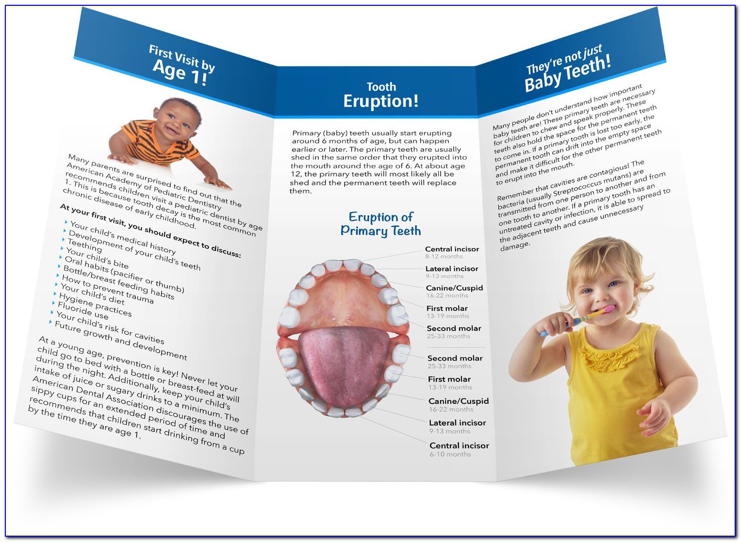 Pediatric Dental Brochures