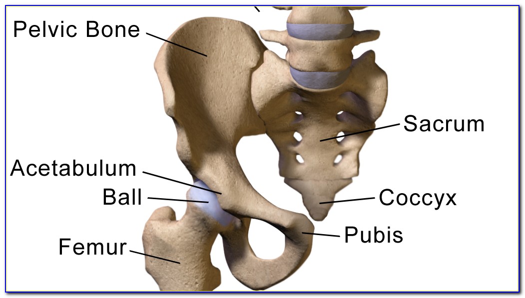 Right Hip Bone Diagram