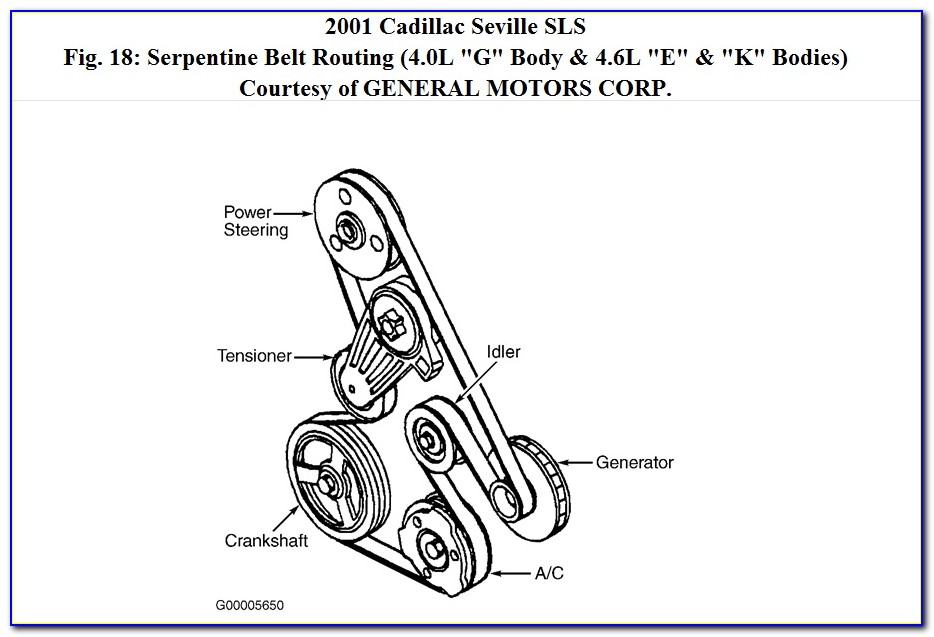 Serpentine Belt Diagram 2007 Dodge Caliber