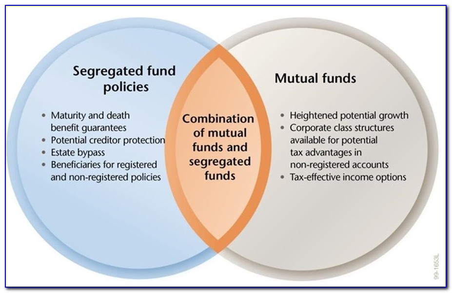 Single Stocks Vs Mutual Funds Venn Diagram