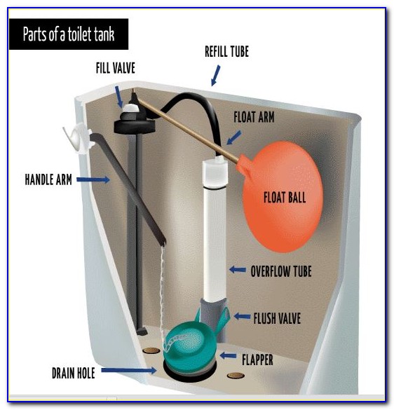 Toilet Water Tank Diagram