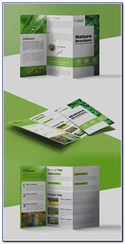 Tri Fold Brochure With Tear Off Template