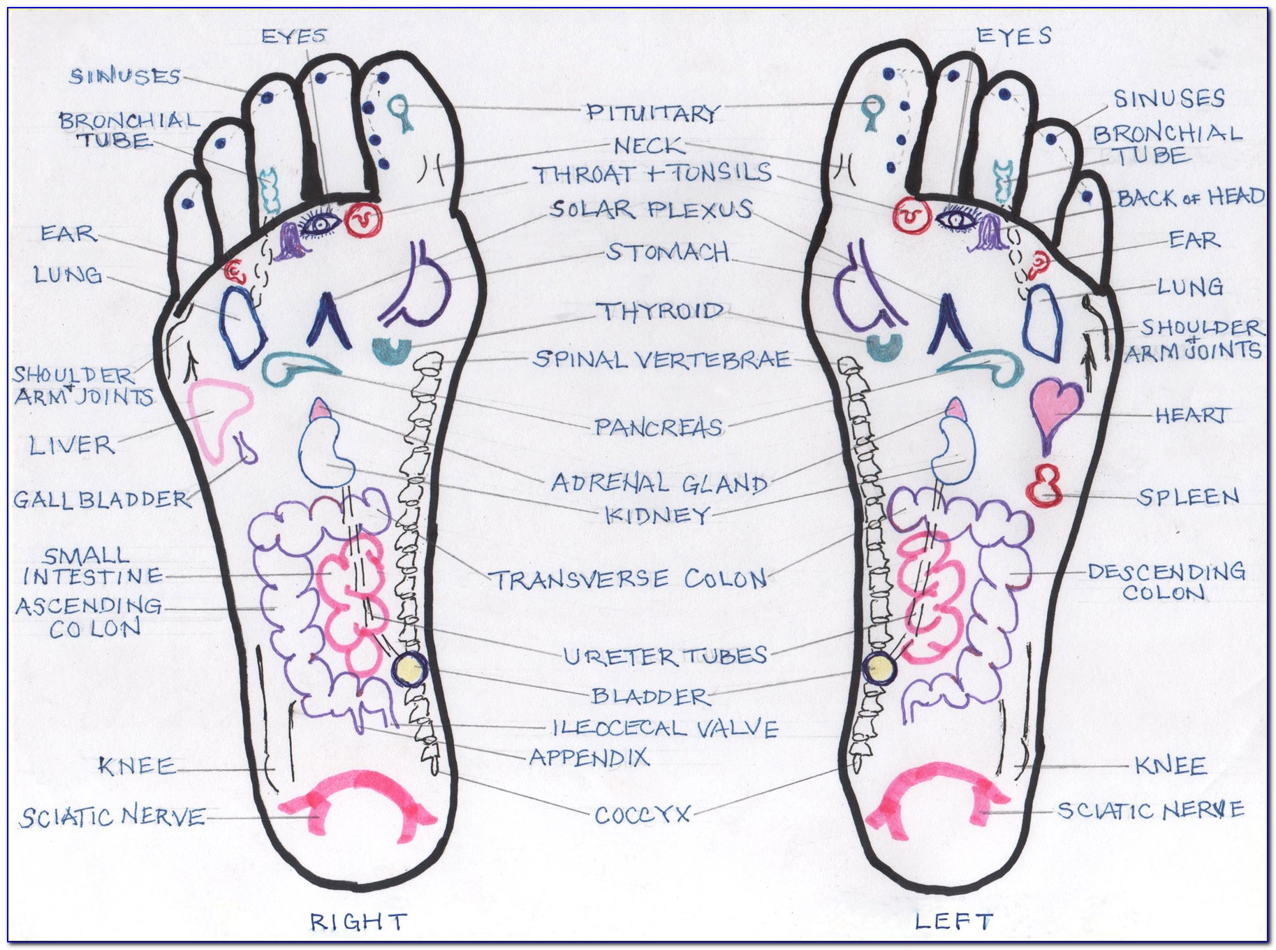 Underneath Foot Diagram