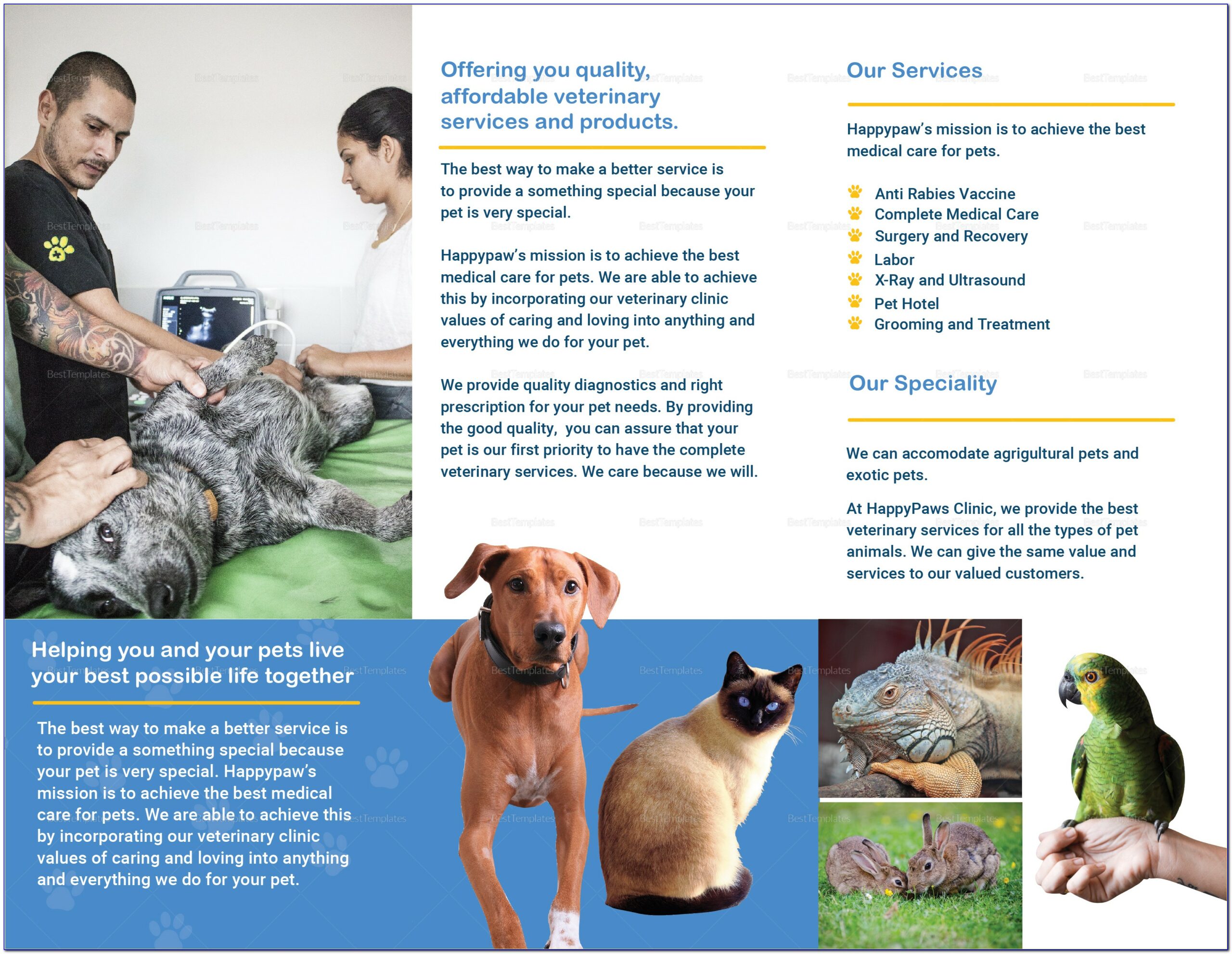 Veterinary Brochures Templates