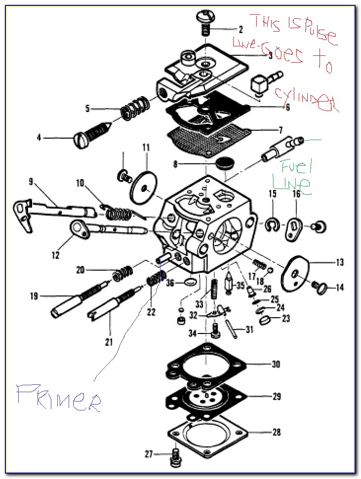 Walbro Carburetor Diagram Chainsaw