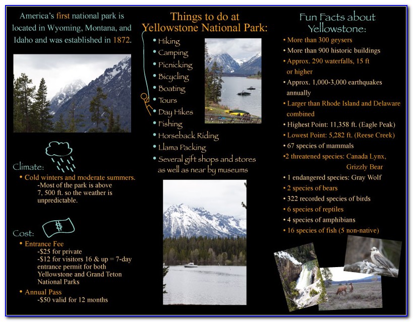 Yellowstone National Park Brochure Pdf