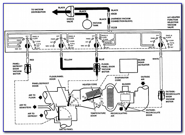1997 Ford F150 4.6 Vacuum Hose Diagram