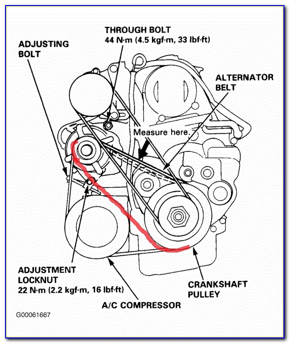 1999 Honda Accord Pulley Diagram