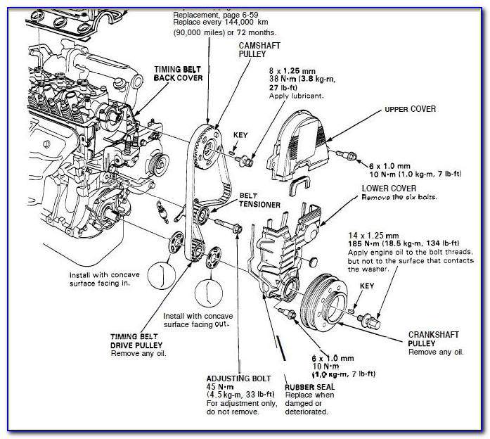 2000 Honda Accord Pulley Diagram