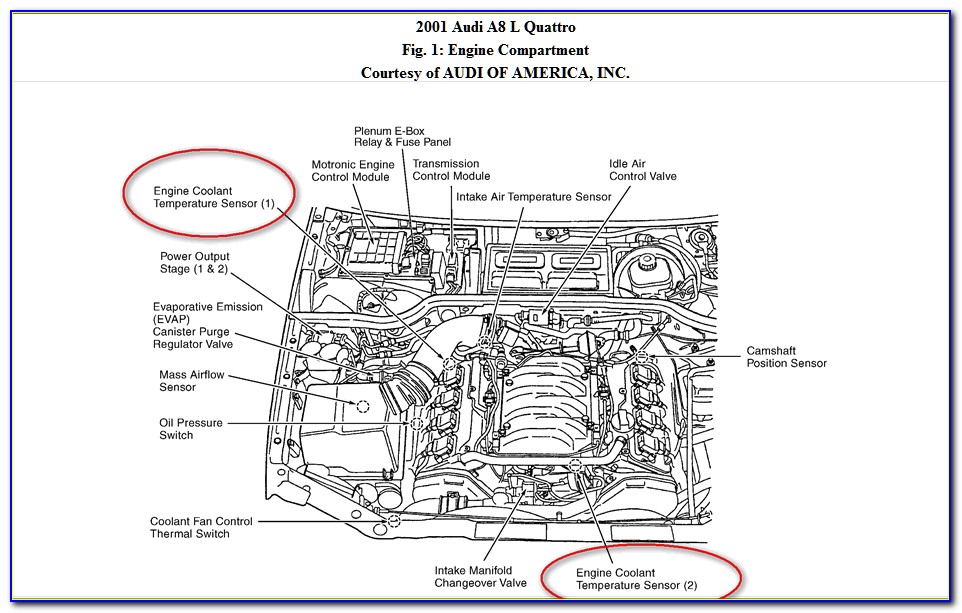 2001 Dodge 2500 Stereo Wiring Diagram