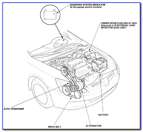 2004 Honda Accord Pulley Diagram