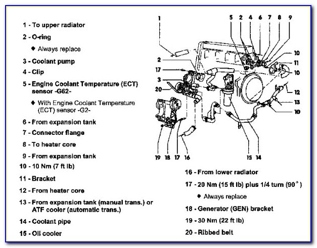 2004 Vw Beetle Engine Diagram