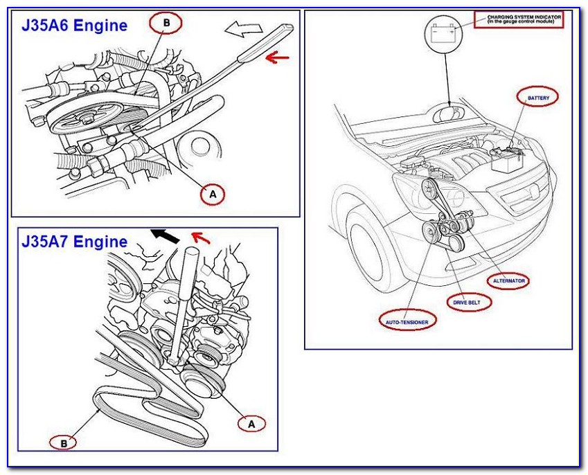 Honda Accord Pulley Diagram