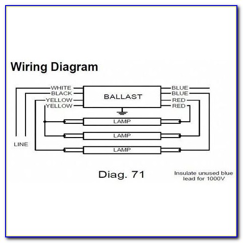 Philips Advance T8 Ballast Wiring Diagram