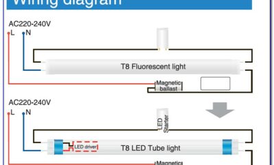 T8 Led Tube Connection Diagram