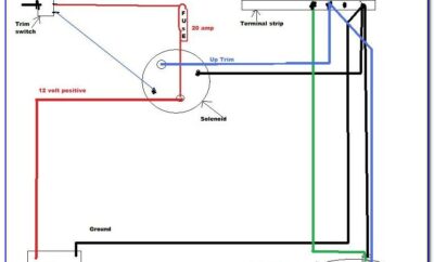 Trim Limit Switch Wiring Diagram