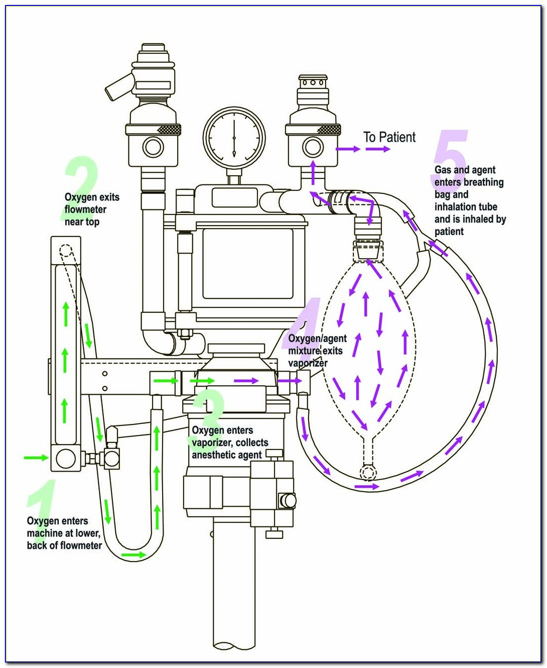 Veterinary Anesthesia Machine Diagram