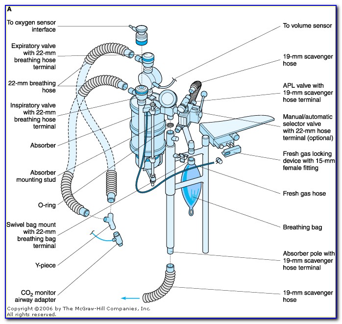 Veterinary Anesthetic Machine Diagram