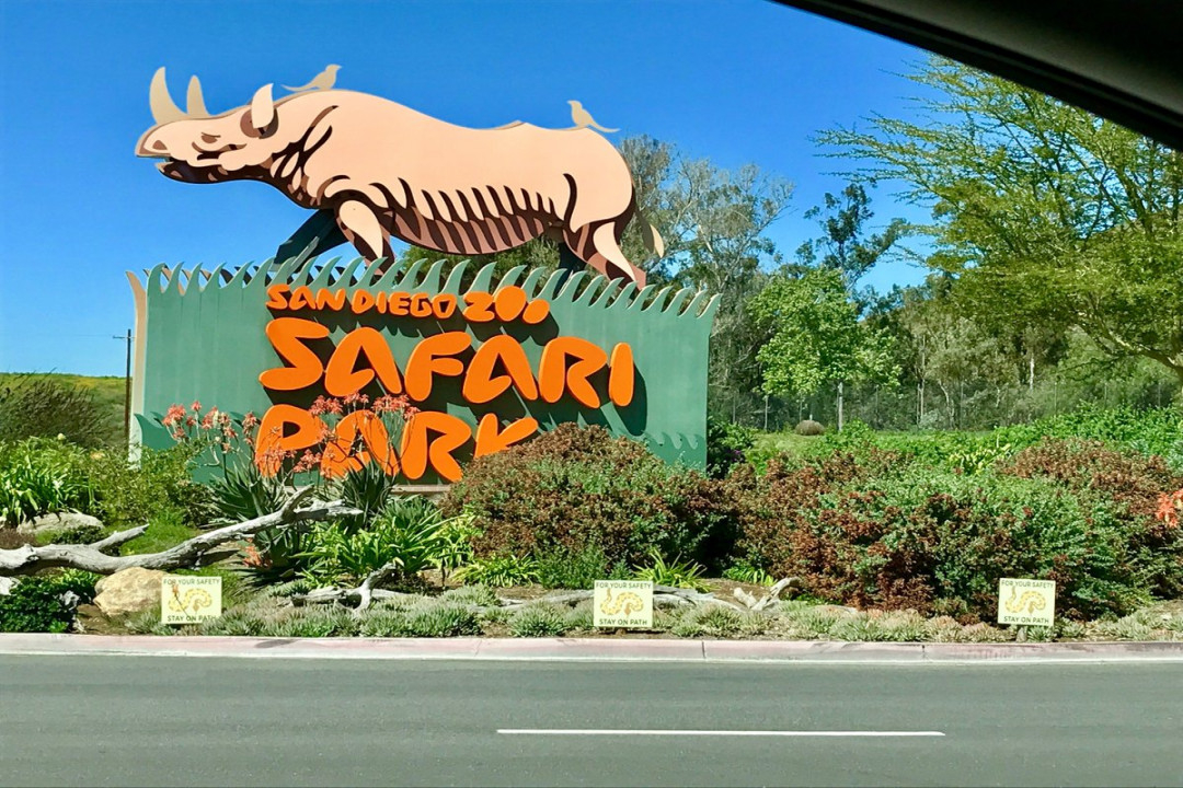 San Diego Zoo Safari Park (Escondido) - Lohnt es sich? (Mit fotos)
