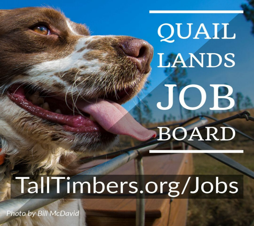Tall Timbers Job Board - Tall Timbers Jobs: Find Forestry And Conservation Jobs Here.